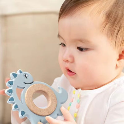 Le design de l'anneau de dentition en forme de dinosaure intrigue le bébé